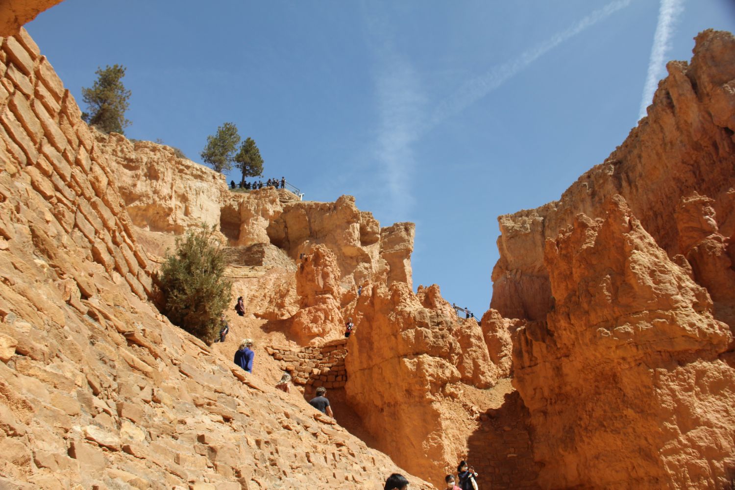 Queens/Navajo 